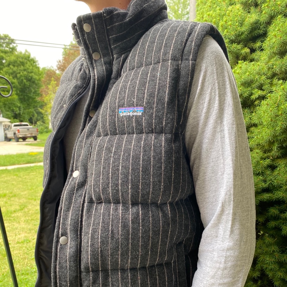 Patagonia Pinstripe Men’s Vest